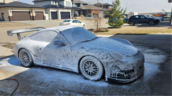 Professional exterior car detailing